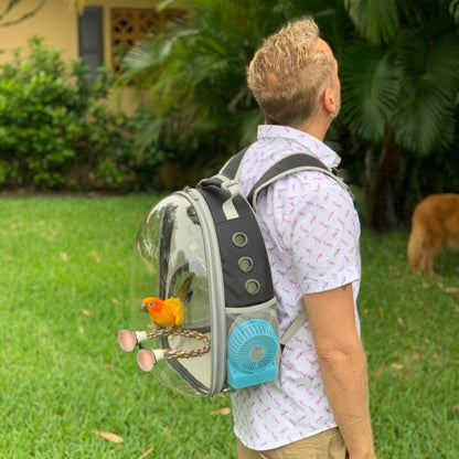 Bird travel carrier backpack with feeder and perch