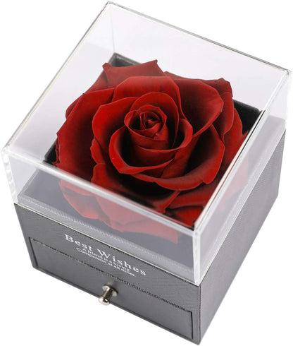 Preserved rose gift with necklace in 100 languages